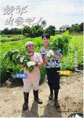 披荆斩棘